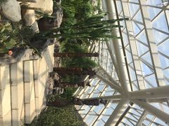 iphone_upload_pic-西安世博园