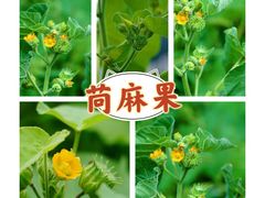 -青藏高原自然博物馆