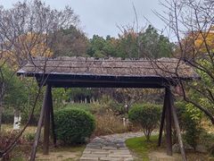 -武汉园博园(武汉自然博物馆)
