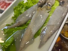 -铭记蛙小仙·活蛙畅享(CBD万达广场店)