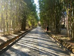 -蝴蝶泉公园