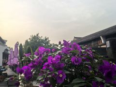 -鸣鹤古镇