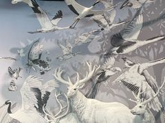 -中国湿地博物馆