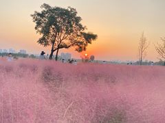 -汉长安城未央宫国家考古遗址公园