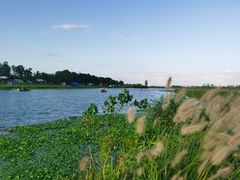 -春花秋色城市公园