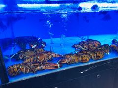 -香港富临皇宫(扬名广场店)