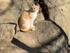 -崂山巨峰游览区