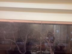 -洞庭家宴·头牌甲鱼(广渠门店)