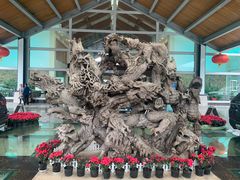 -雅安楠水阁温泉酒店