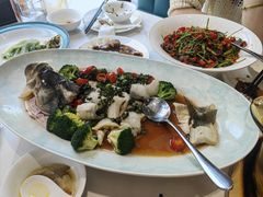 -天目馨缘