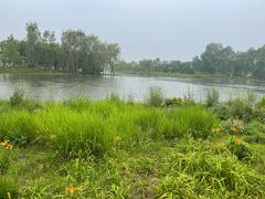 -东郊湿地公园