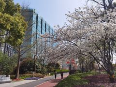 -北外滩滨江绿地