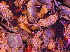 -红灯笼龙凤饭店(宁波老字号店)