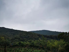 -宝界山林公园