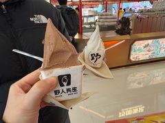 -野人先生现做冰淇淋(北京王府井东方新天地店)