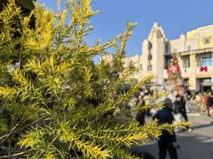 -比斯特上海购物村精品奥特莱斯