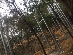 -牛鱼嘴原始生态风景区