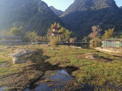 -靖西鹅泉风景区
