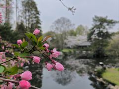 -杭州植物园
