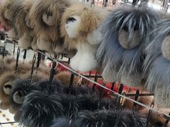 -大营西亚皮草新城