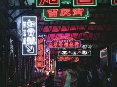 -武汉知音号