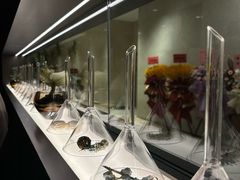 -安屿an·spa(卓悦中心商场店)