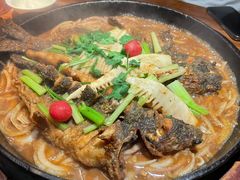 -老板恋上鱼(振华商厦店)