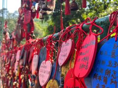 -西双版纳原始森林公园