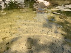 -碓臼峪自然风景区