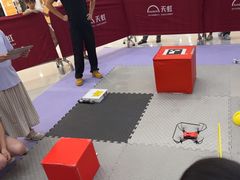 -童程童美·信息学竞赛·乐高机器人编程(龙华校区)