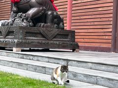 -龙华素斋(龙华路店)