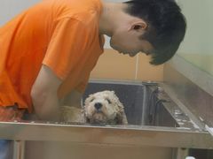 -汤姆宠物(长青北路店)