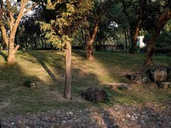 -宁波九龙湖开元度假村