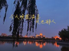 -莲花池公园