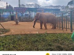 -昆明动物园