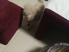 -巧手推拿中心(盲人推拿)