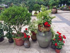 -江津如果餐厅(江津店)