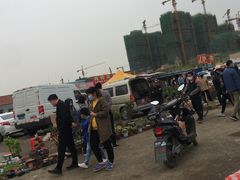 -蒲河大集