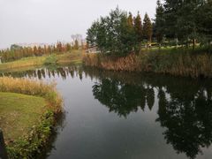 -眉山湿地公园(东坡区)