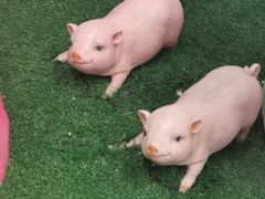 -凯德广场(武胜路店)