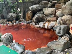 -张家港金凤凰度假村温泉