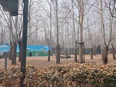 -秦皇岛野生动物园