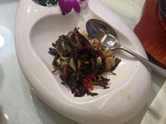 -中苑海韵