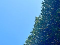 -壹笑茶庄