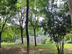 -合肥野生动物园