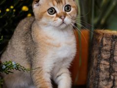 -映像徐州(滨湖店)