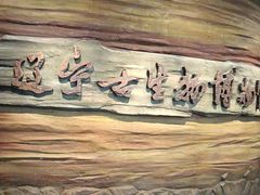 -辽宁古生物博物馆