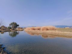 -良渚古城遗址公园