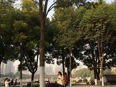 -西北湖绿化广场