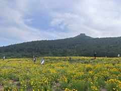 -佛慧山